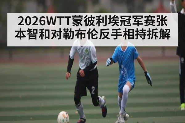 2026WTT蒙彼利埃冠军赛张本智和对勒布伦反手相持拆解